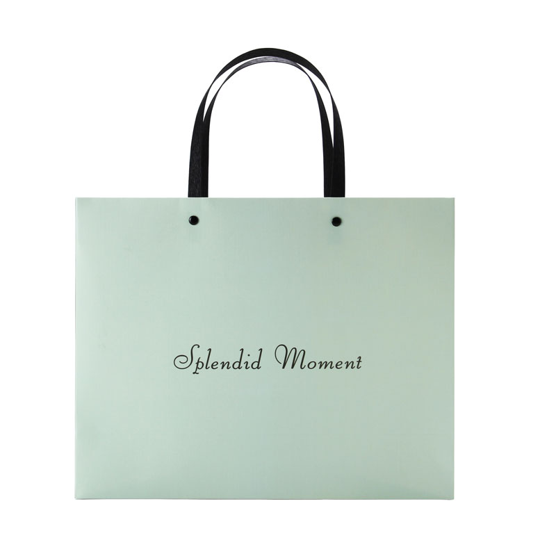 Lipack Fashion Luxury Paper Bag for Gift with Logo Printed