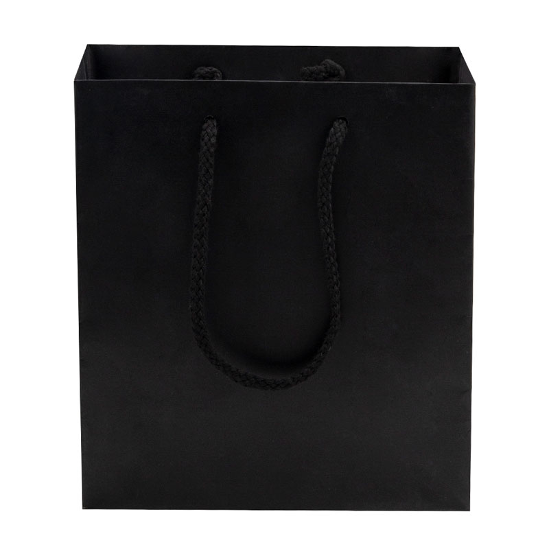 Lipack Custom Logo Printed Luxury Cosmetic Paper Bag for Gift 