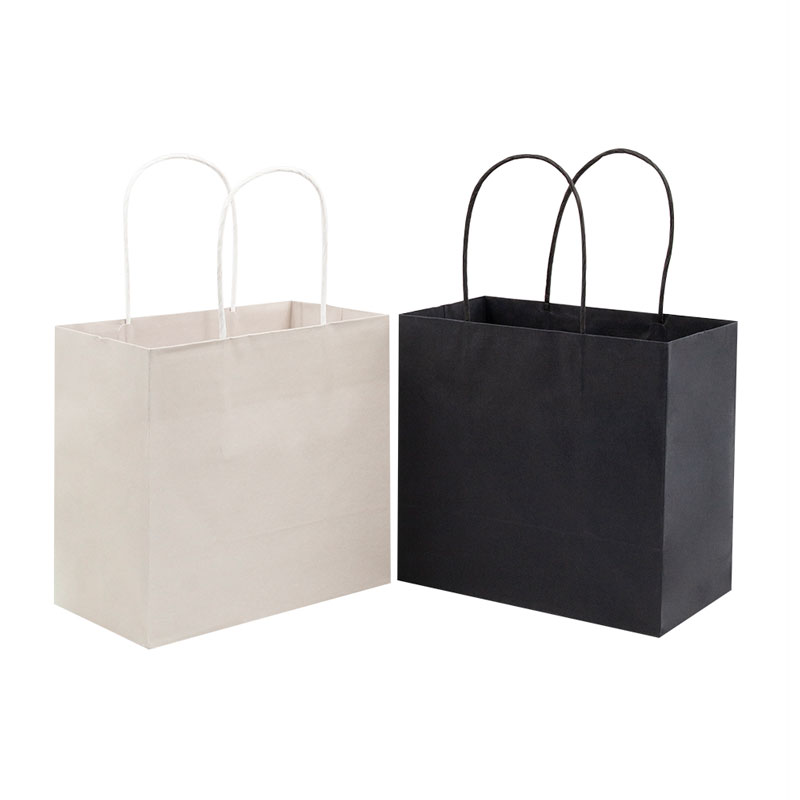 Lipack Custom White Kraft Paper Bag with Twisted Handles for Packaging