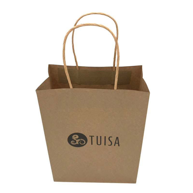 Lipack Custom Kraft Paper Bag with Twisted Handles for Grocery