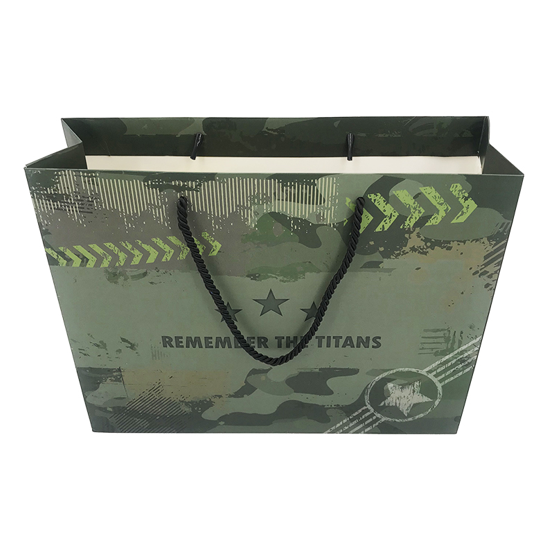 Lipack Unique Boutique Shoes Paper Bag with Twisted Handles for Gift