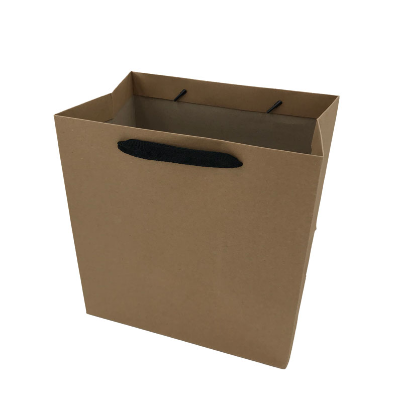 Lipack Reusable Khaki Kraft Paper Bag for Packaging