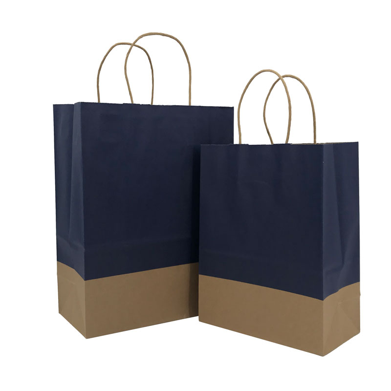 Lipack Reusable Multicolor Takeaway Away Paper Bag for Shopping with Handle